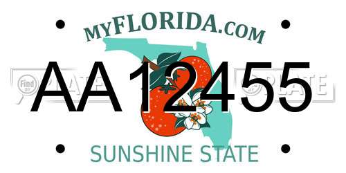 AA12455 Florida License Plate