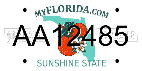 AA12485 Florida License Plate