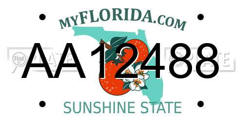 AA12488 Florida License Plate