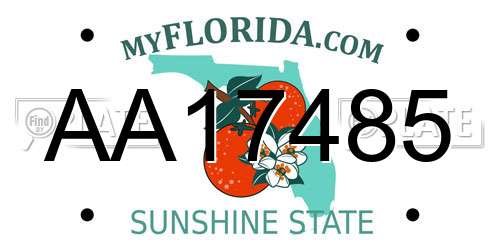 AA17485 Florida License Plate