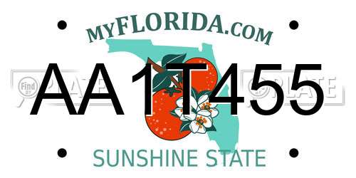 AA1T455 Florida License Plate