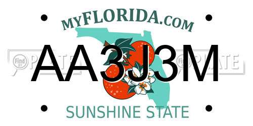 AA3J3M Florida License Plate