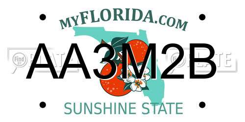 AA3M2B Florida License Plate