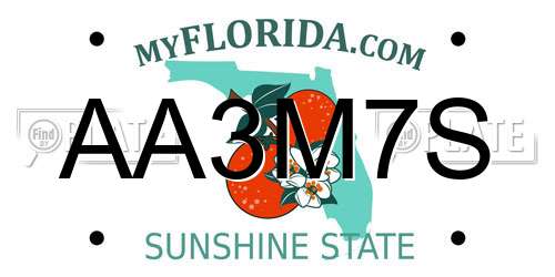 AA3M7S Florida License Plate