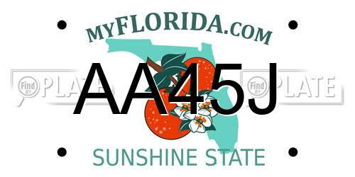 AA45J Florida License Plate