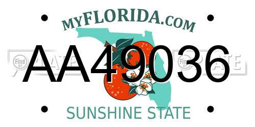AA49036 Florida License Plate