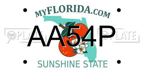 AA54P Florida License Plate