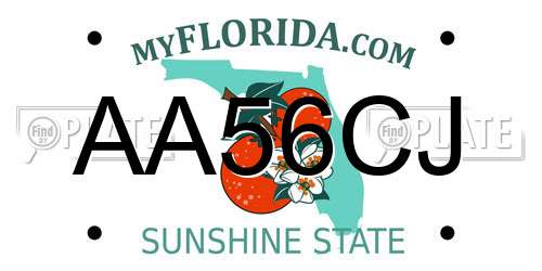 AA56CJ Florida License Plate