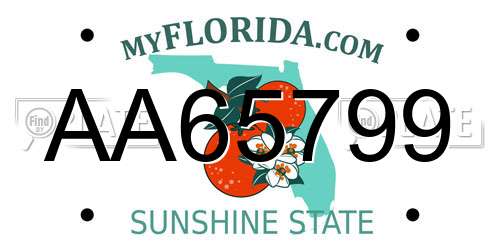AA65799 Florida License Plate