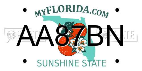 AA87BN Florida License Plate