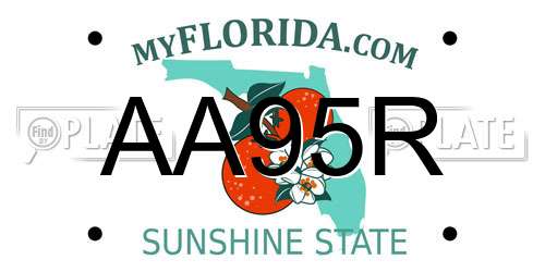 AA95R Florida License Plate