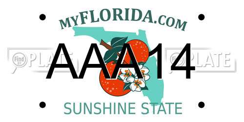 AAA14 Florida License Plate