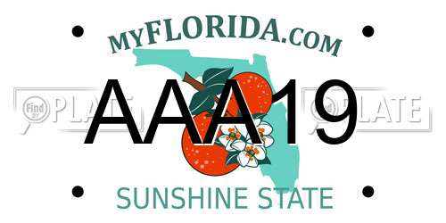 AAA19 Florida License Plate