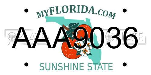 AAA9036 Florida License Plate