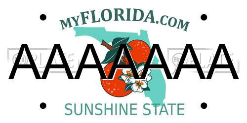 AAAAAAA Florida License Plate