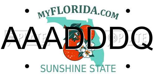 AAADDDQ Florida License Plate
