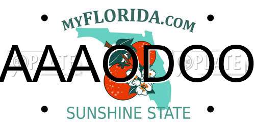 AAAODOO Florida License Plate