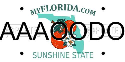 AAAOODO Florida License Plate