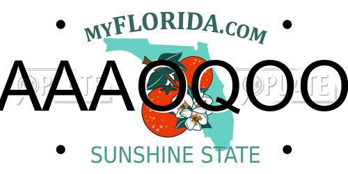 AAAOQOO Florida License Plate