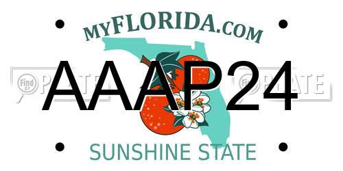 AAAP24 Florida License Plate