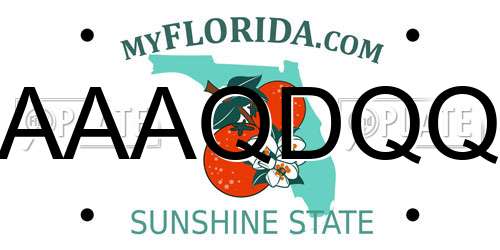 AAAQDQQ Florida License Plate