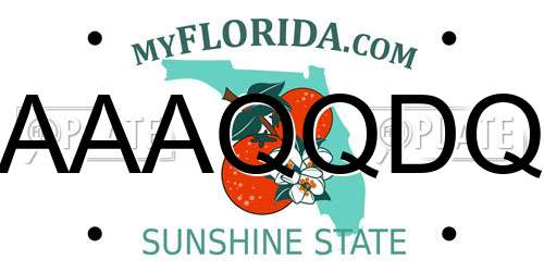 AAAQQDQ Florida License Plate