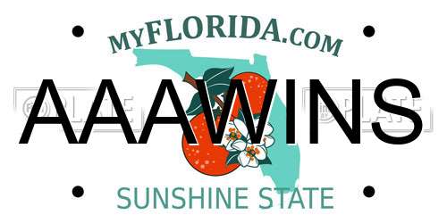 AAAWINS Florida License Plate