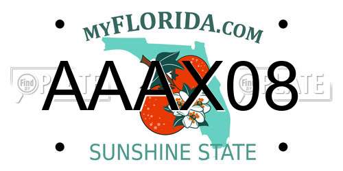 AAAX08 Florida License Plate