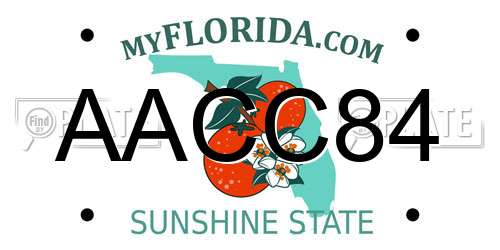 AACC84 Florida License Plate