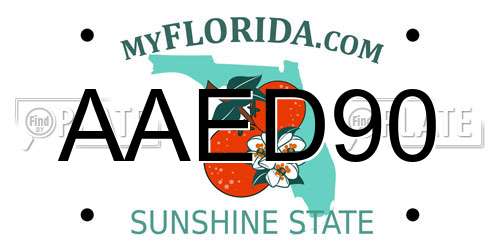 AAED90 Florida License Plate