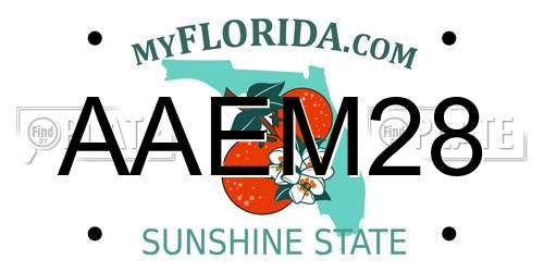 AAEM28 Florida License Plate