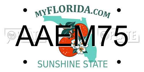 AAEM75 Florida License Plate