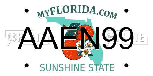 AAEN99 Florida License Plate
