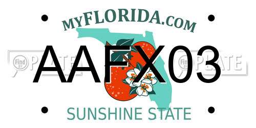 AAFX03 Florida License Plate