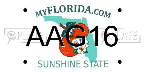 AAG16 Florida License Plate