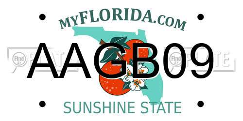AAGB09 Florida License Plate