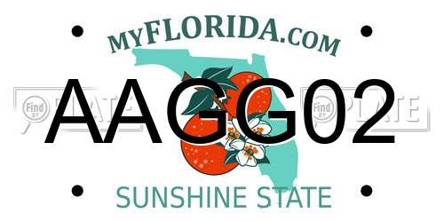 AAGG02 Florida License Plate