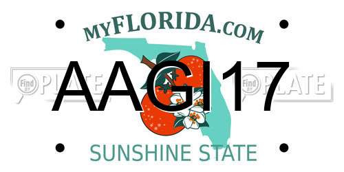 AAGI17 Florida License Plate