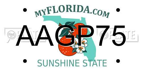 AAGP75 Florida License Plate