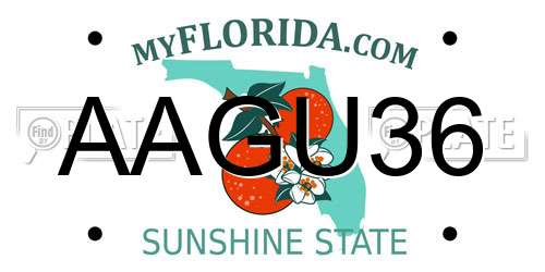 AAGU36 Florida License Plate