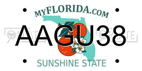 AAGU38 Florida License Plate