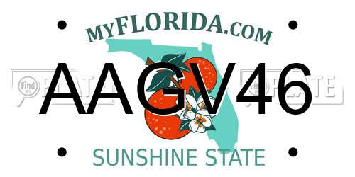 AAGV46 Florida License Plate