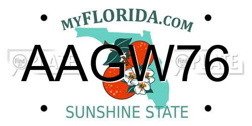 AAGW76 Florida License Plate