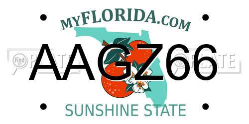AAGZ66 Florida License Plate
