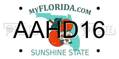AAHD16 Florida License Plate