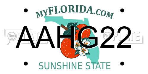AAHG22 Florida License Plate