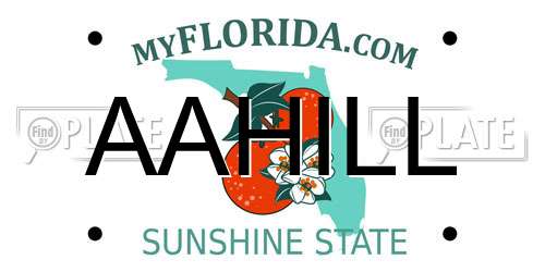 AAHILL Florida License Plate