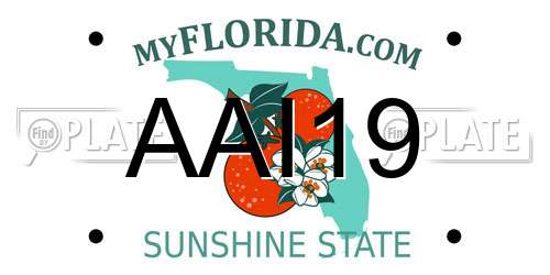 AAI19 Florida License Plate