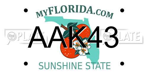 AAK43 Florida License Plate