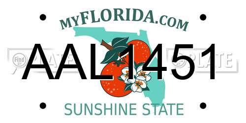 AAL1451 Florida License Plate